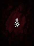 Book Veil Charm